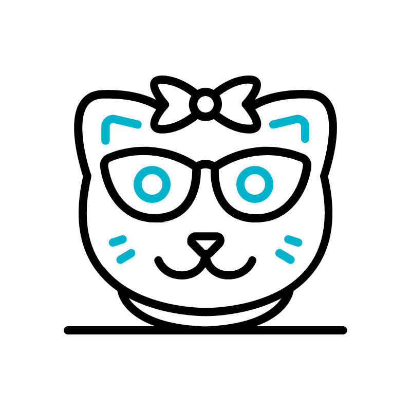 Pet Accessories